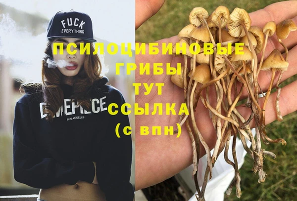 ПСИЛОЦИБИНОВЫЕ ГРИБЫ Мегион