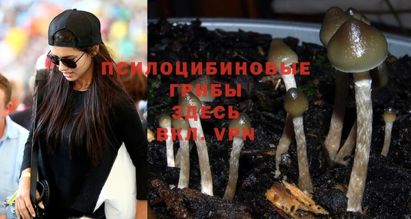 apvp Медвежьегорск