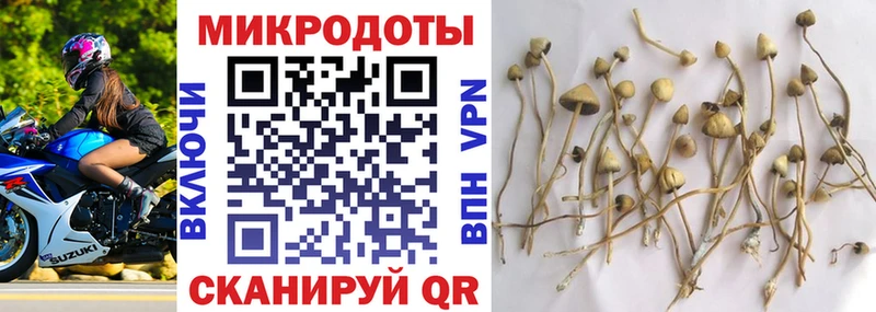 Псилоцибиновые грибы Psilocybe  omg сайт  Фокино 